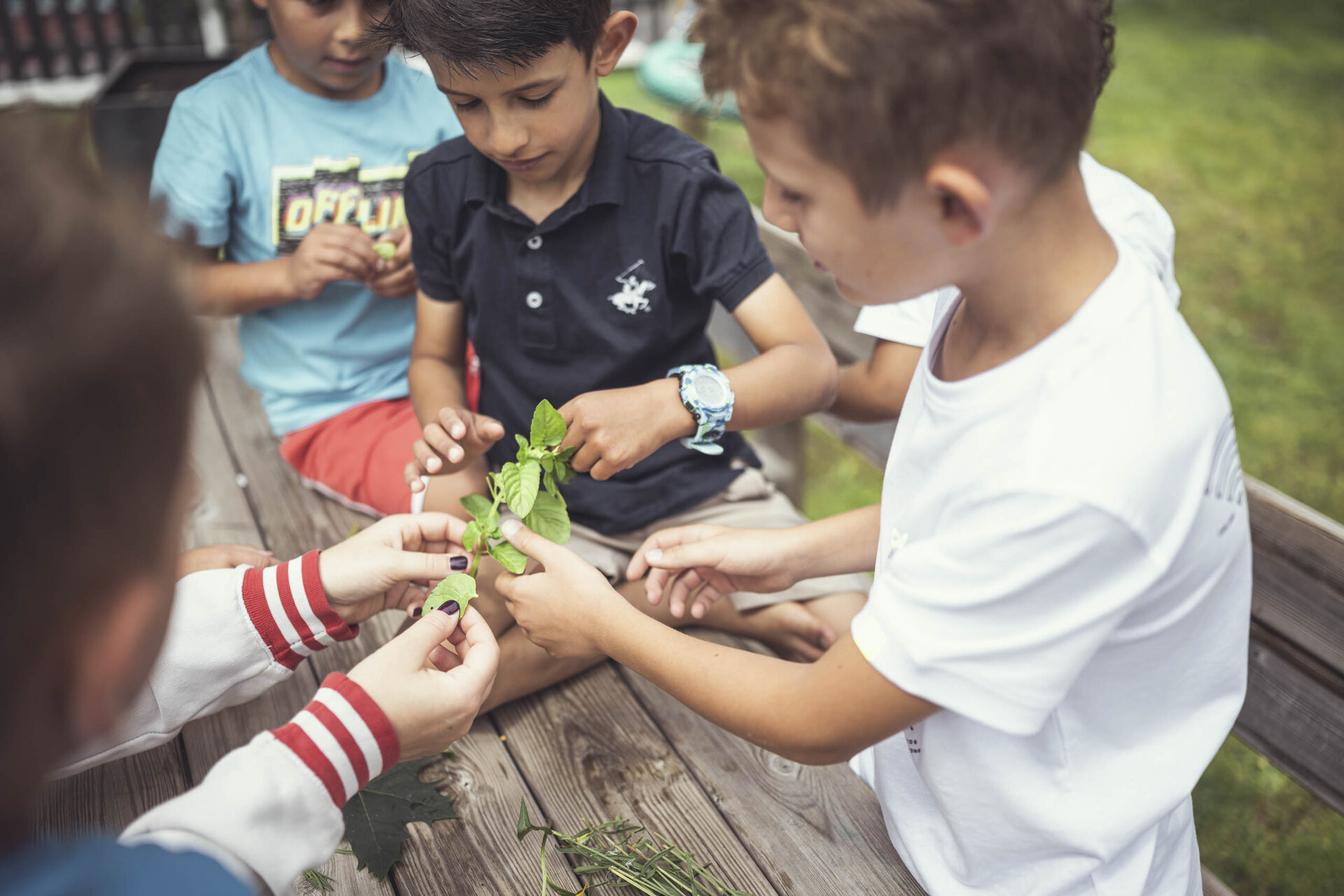 Bimbi alla scoperta delle piante guidati dagli animatori.