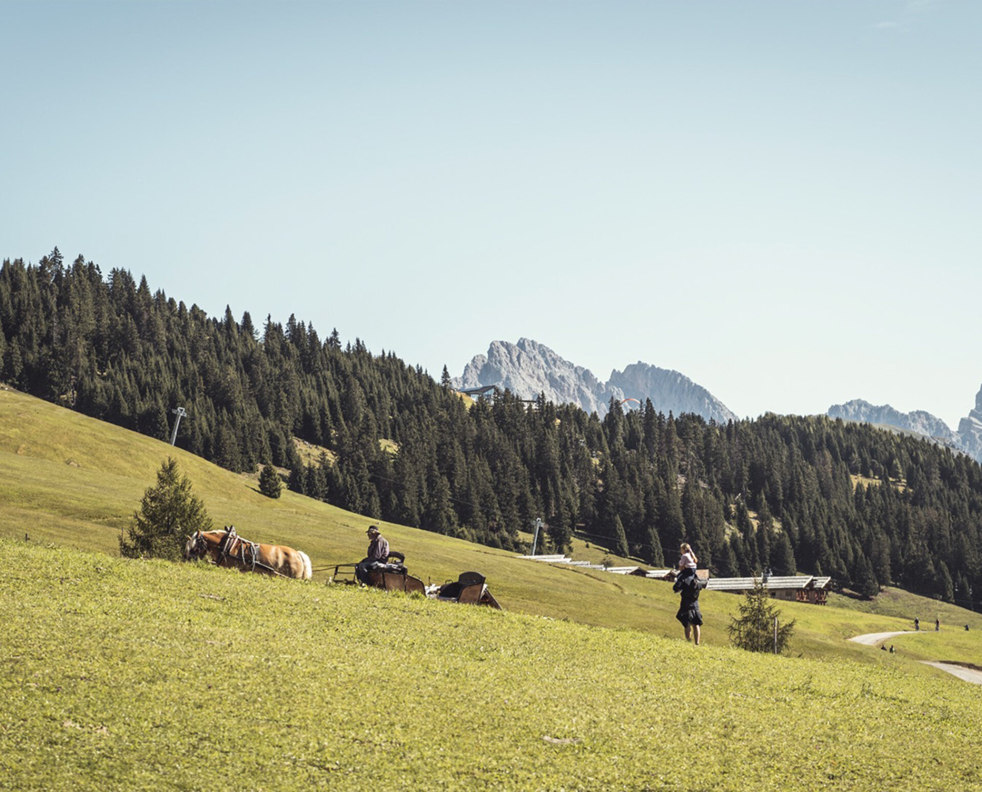 Cavallino bianco Ortisei estate
