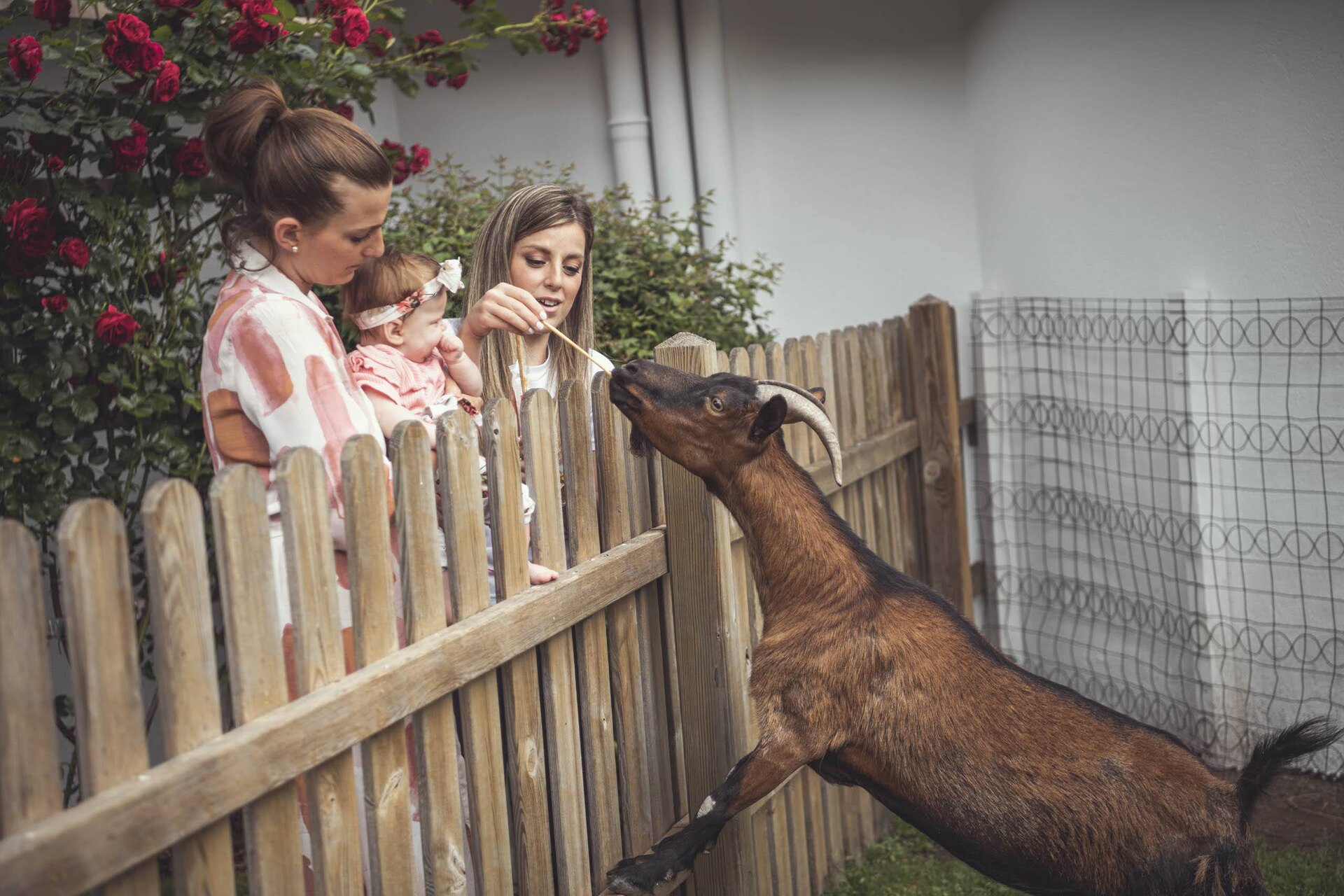 photogallery ortisei lino land 02